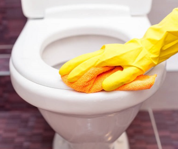 How To Maintain Toilet Hygiene