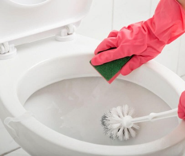 how-to-properly-use-a-toilet-brush-