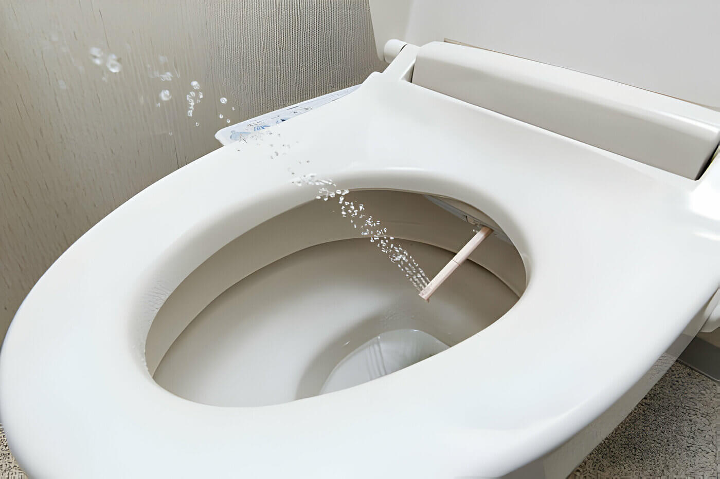 spray bidet feature of the Japanese toilet